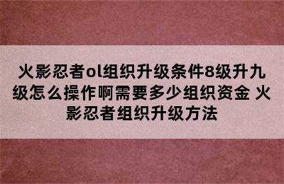 火影忍者ol组织升级条件8级升九级怎么操作啊需要多少组织资金 火影忍者组织升级方法